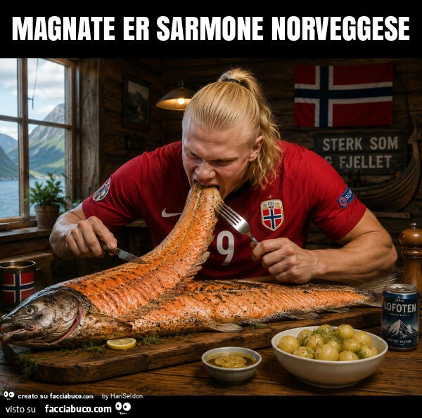 Magnate er sarmone norveggese