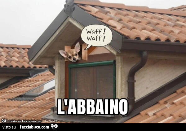 L'abbaino