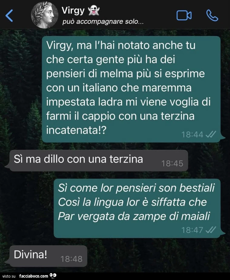 Vaccata