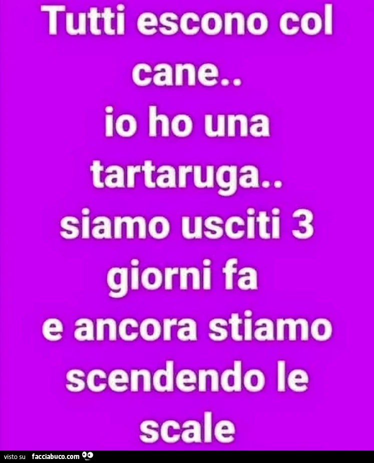 Tutti escono col cane. Io ho una tartaruga. Siamo usciti 3 giorni fa e ancora stiamo scendendo le scale
