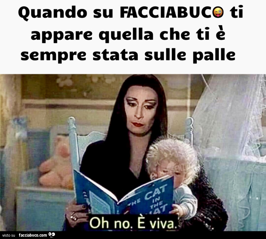 Vaccata