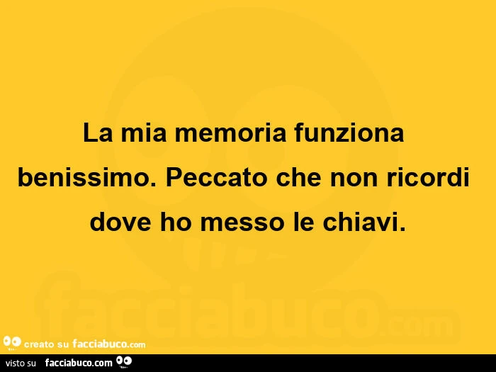 La mia memoria funziona benissimo. Peccato che non ricordi dove ho messo le chiavi