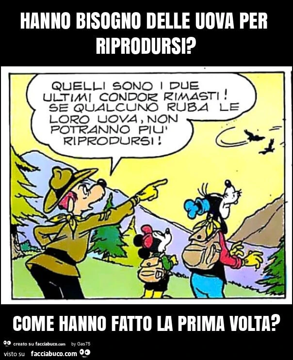 Hanno bisogno delle uova per riprodursi? Come hanno fatto la prima volta?