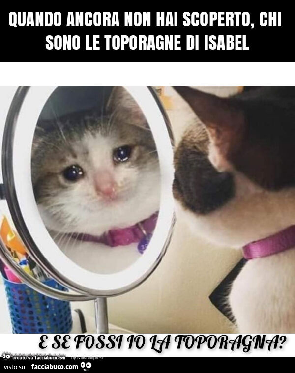 Quando ancora non hai scoperto, chi sono le toporagne di isabel