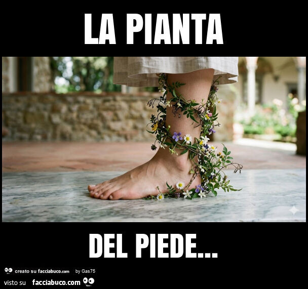 La pianta del piede