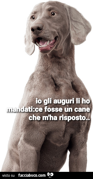 Auguri