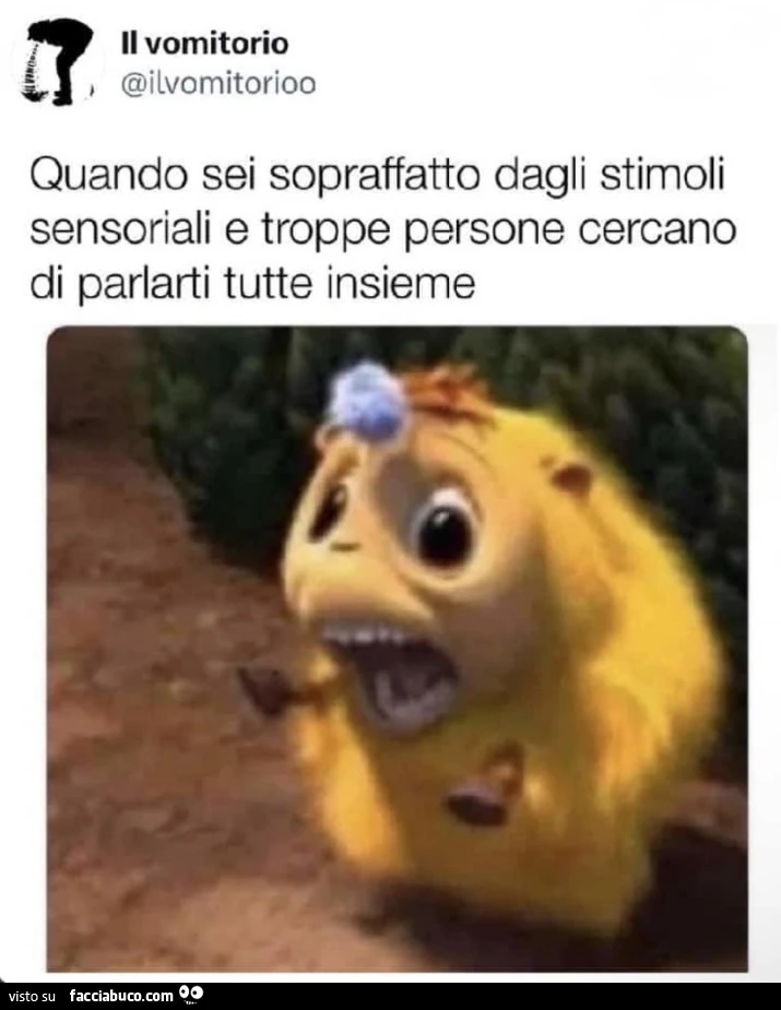 Vaccata