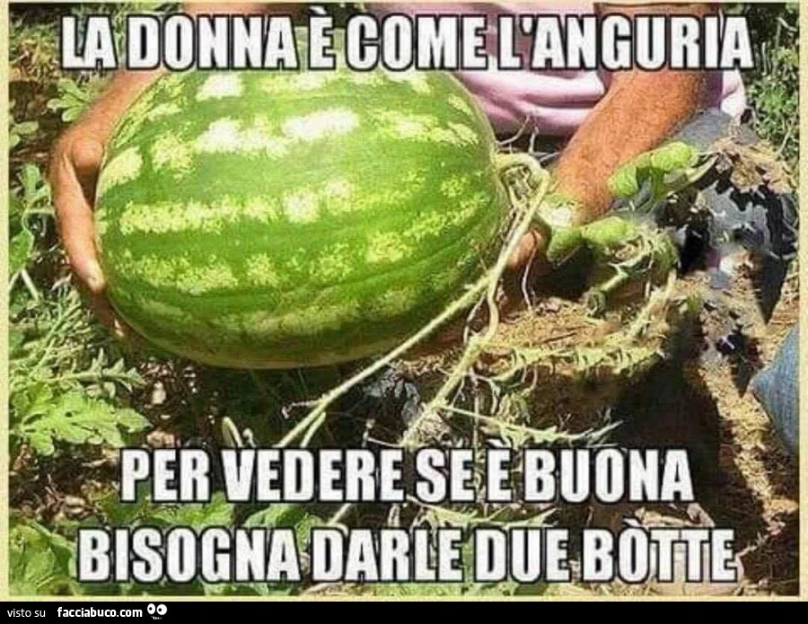 Vaccata