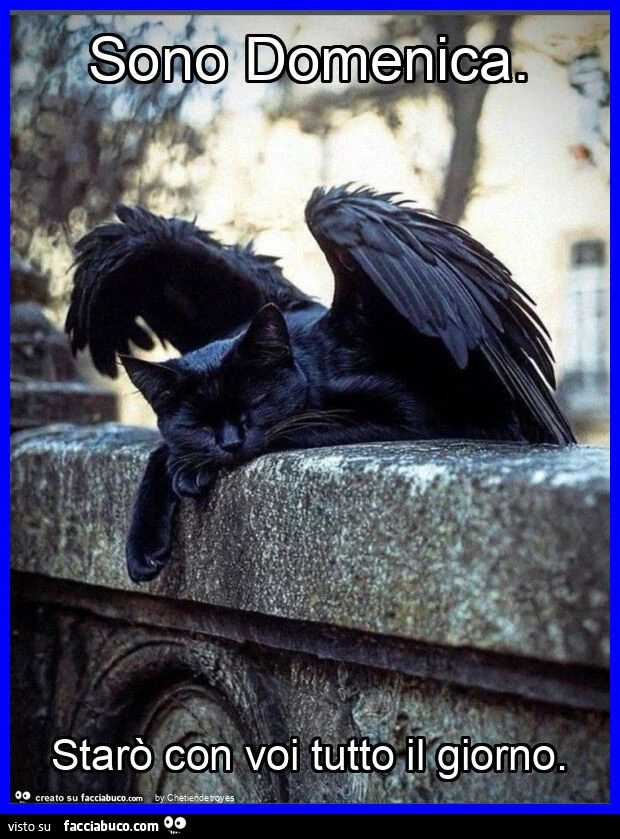 Sono domenica. Starรฒ con voi tutto il giorno