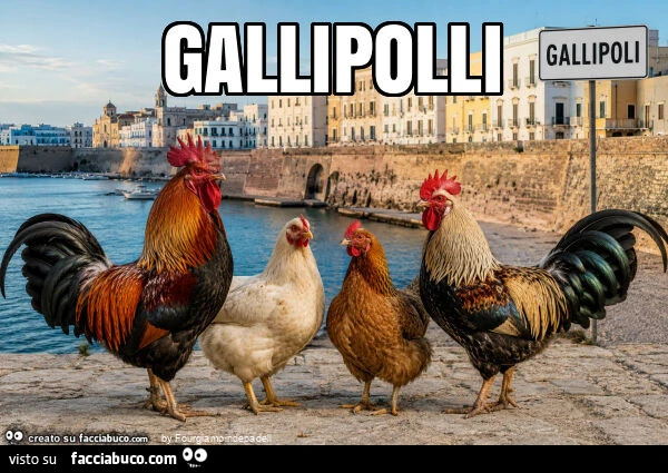 Gallipolli