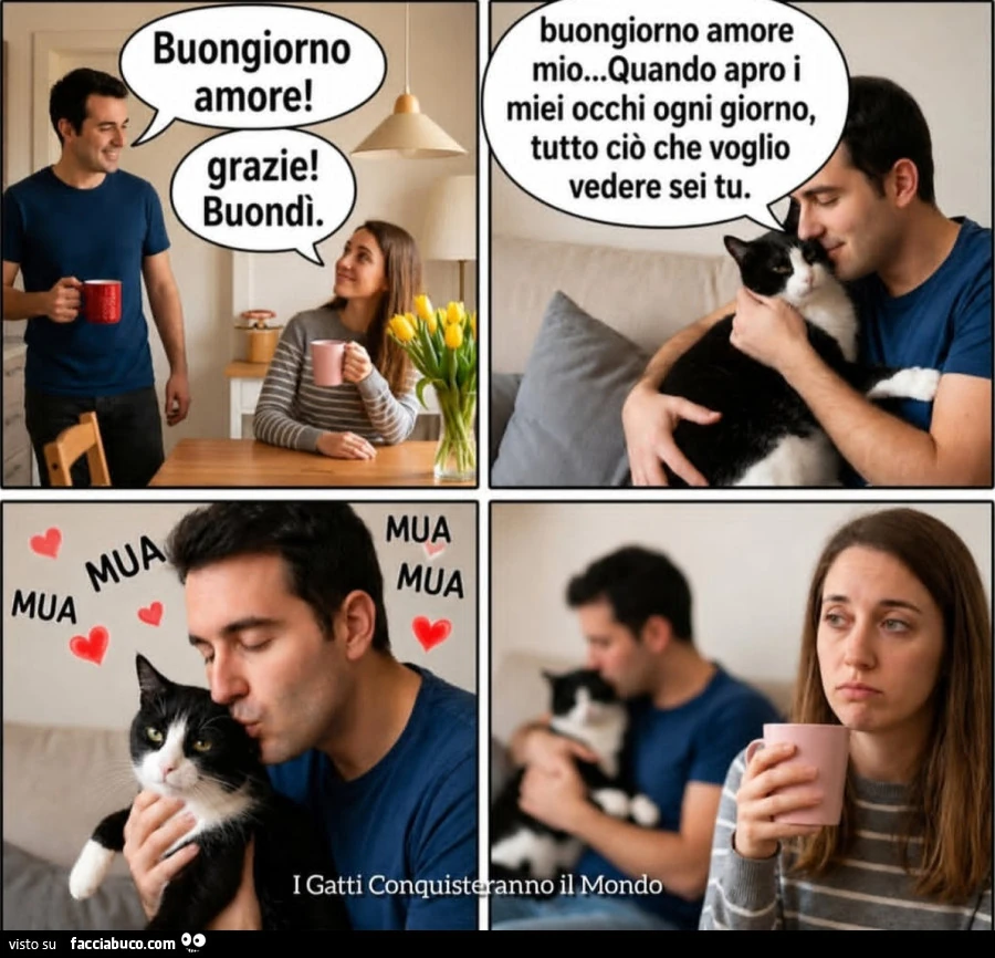 Vaccata