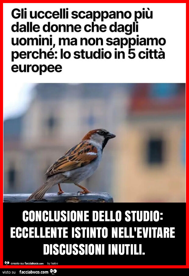 Gli uccelli scappano più dalle donne che dagli uomini ma no sappiamo perché lo studio in 5 città europee Conclusione dello studio: eccellente istinto nell'evitare discussioni inutili