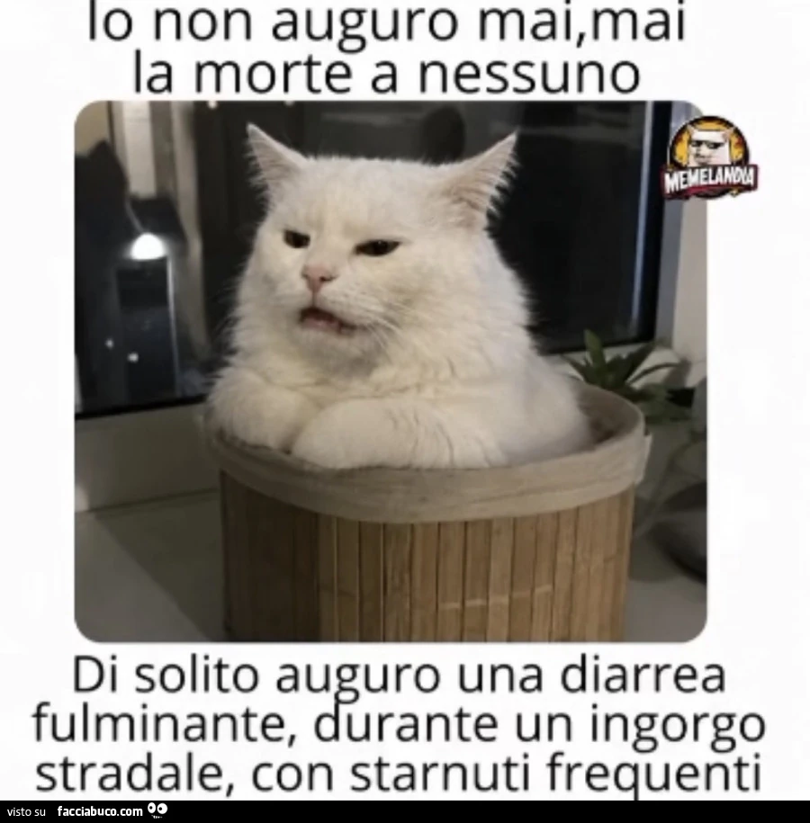 Vaccata