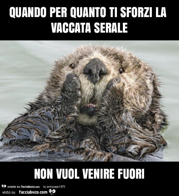 Quando per quanto ti sforzi la vaccata serale non vuol venire fuori
