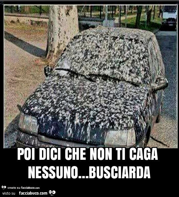 Poi dici che non ti caga nessuno&hellip; busciarda