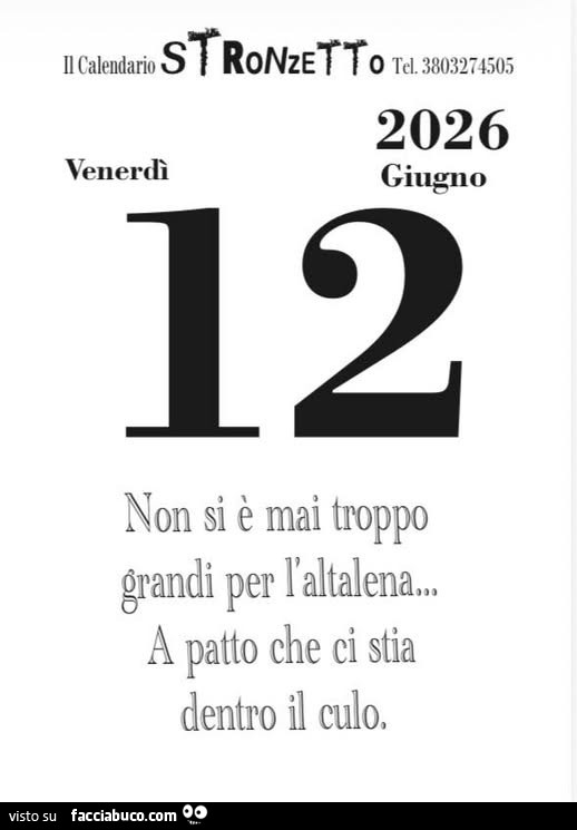Non si รจ mai troppo grandi per l'altalena… a patto che ci stia dentro il culo