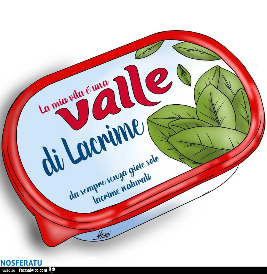 Mai una gioia