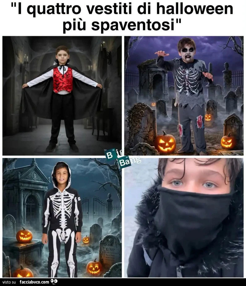 Vaccata