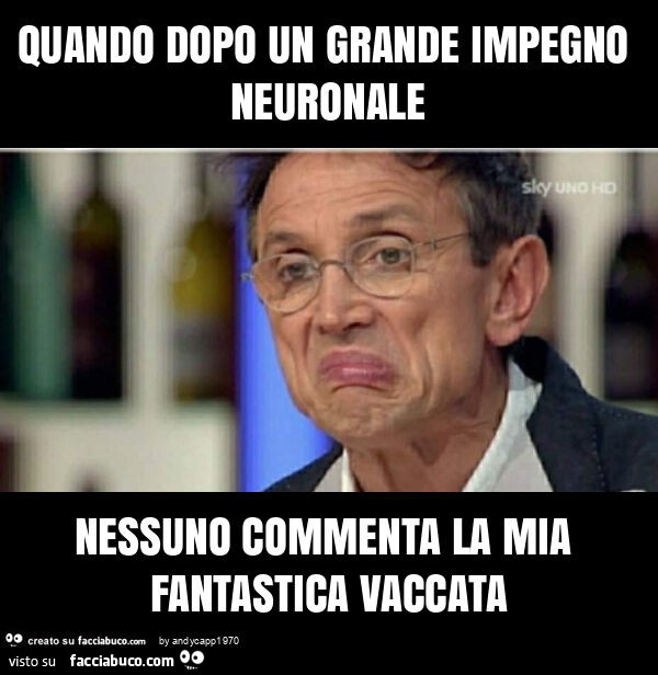 Quando dopo un grande impegno neuronale nessuno commenta la mia fantastica vaccata