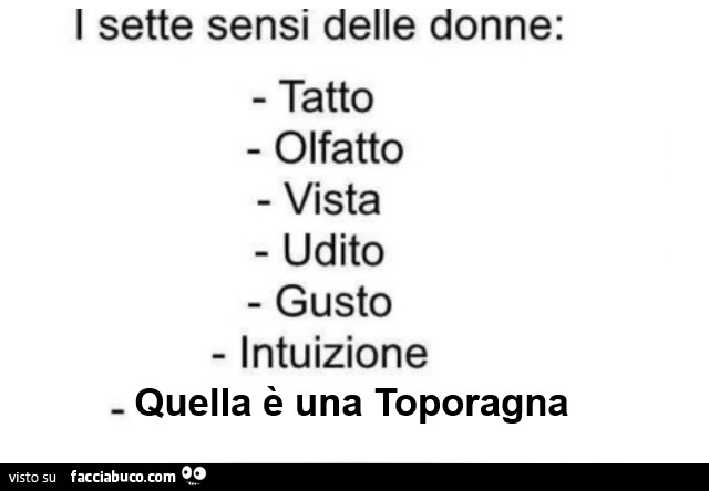 I sette sensi delle donne: tatto olfatto vista udito gusto intuizione quella è una toporagna