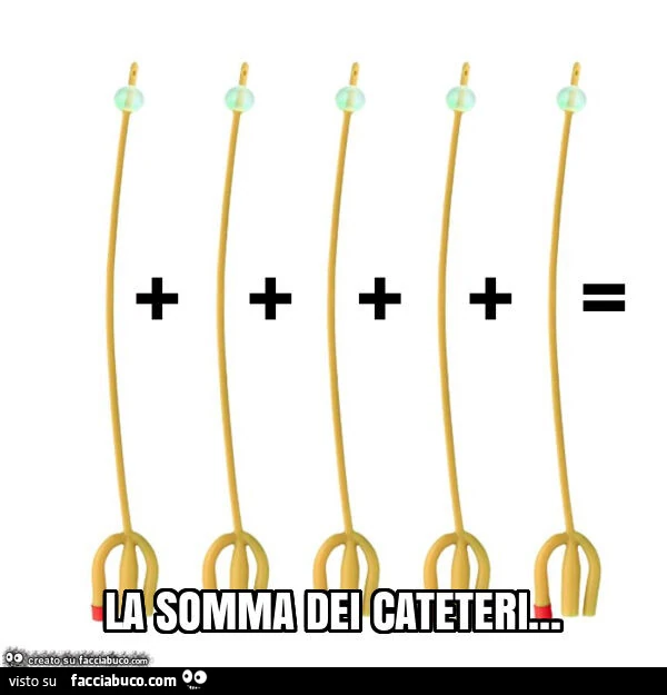 La somma dei cateteri