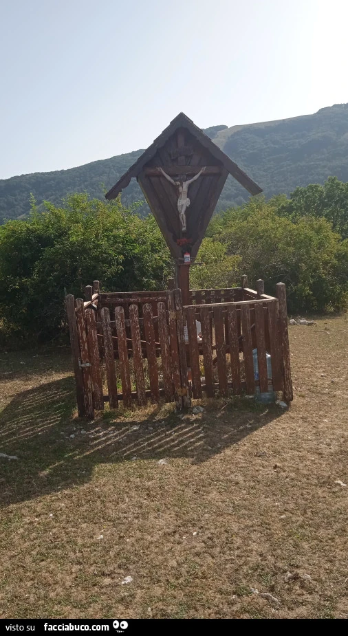 Vaccata