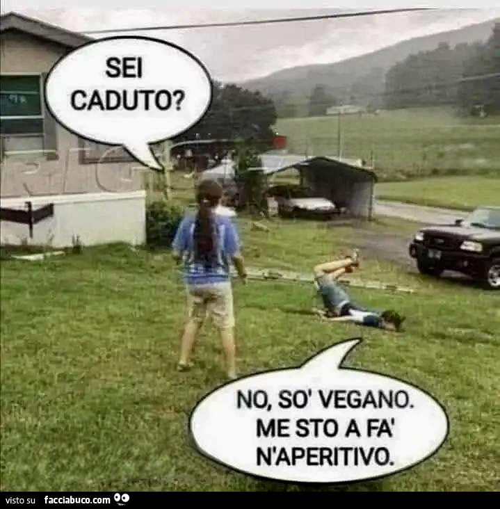 Vaccata
