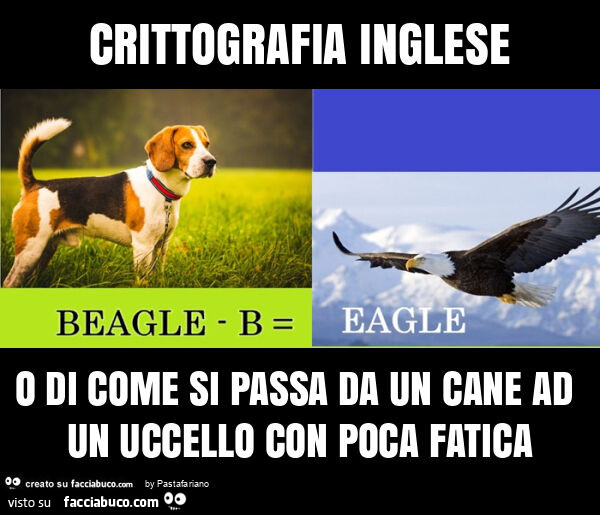 Crittografia inglese o di come si passa da un cane ad un uccello con poca fatica