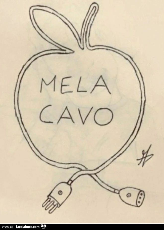 Disegni