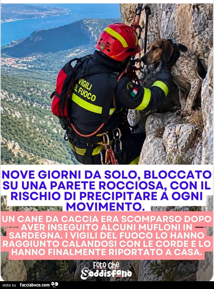 Salvataggio