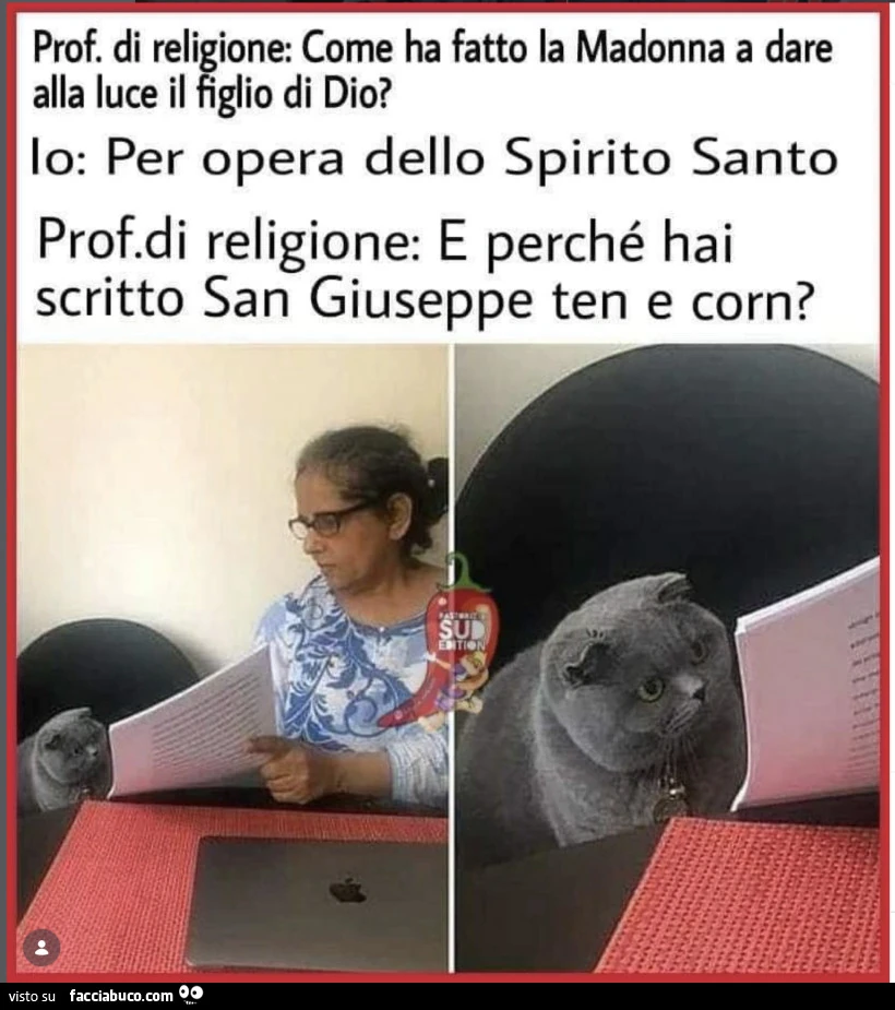 Vaccata