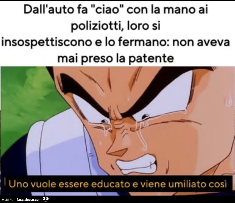 Vaccata
