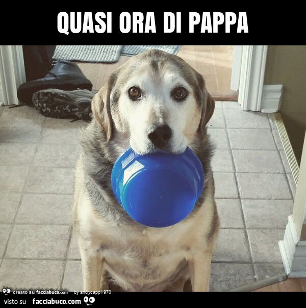 Quasi ora di pappa