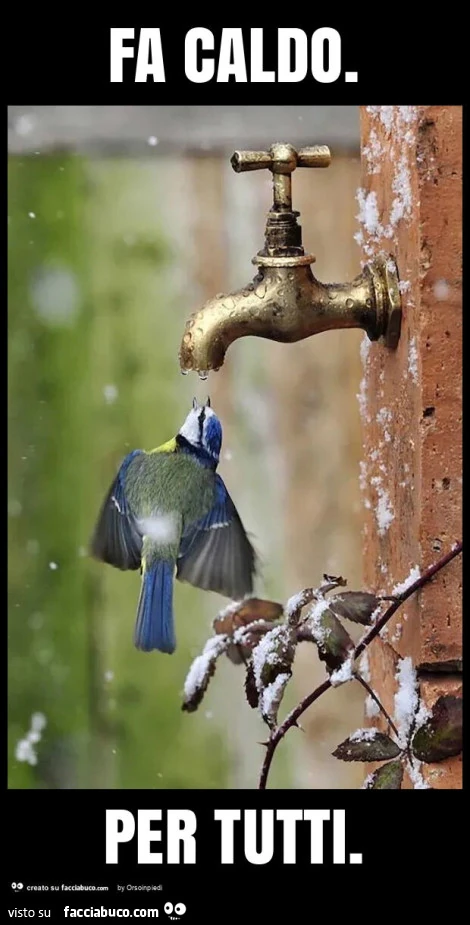 Fa caldo. Per tutti