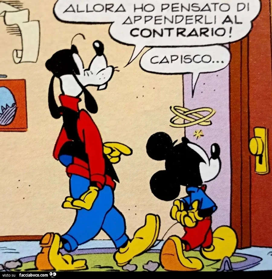 Vaccata