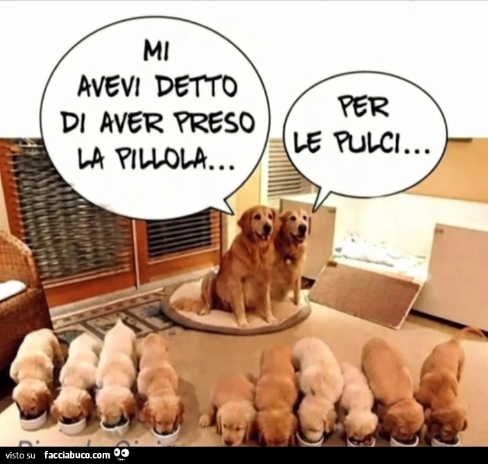 2Pillole