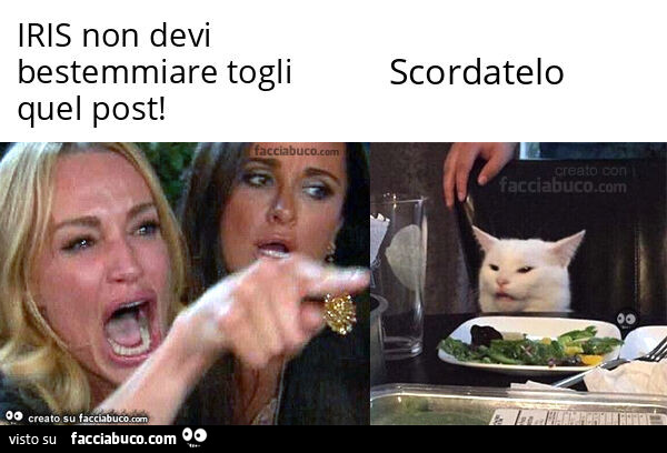 Iris non devi bestemmiare togli quel post! . Scordatelo