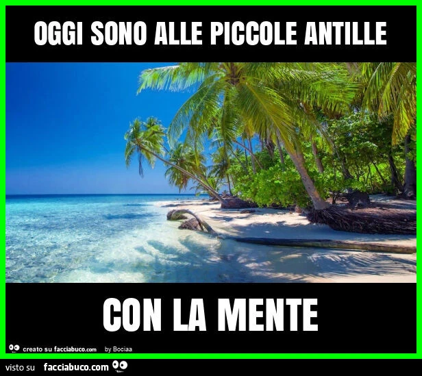Oggi sono alle piccole antille con la mente