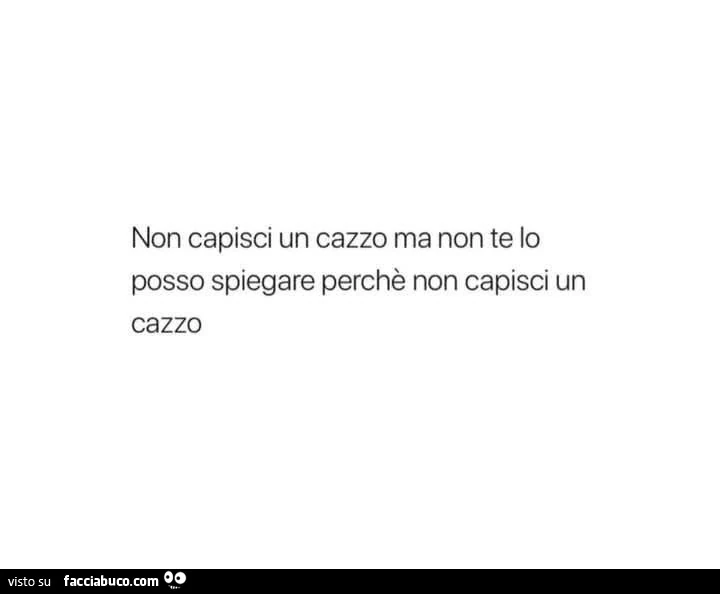 Non capisci un cazzo ma non te lo posso spiegare perchè non capisci un cazzo