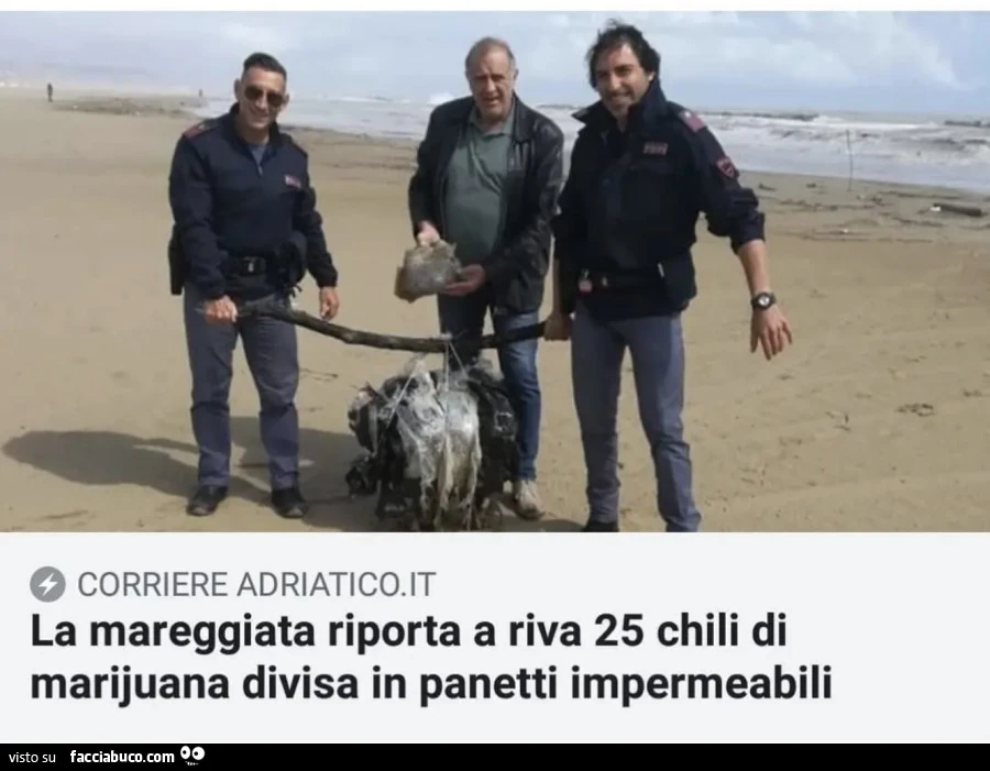 Vaccata