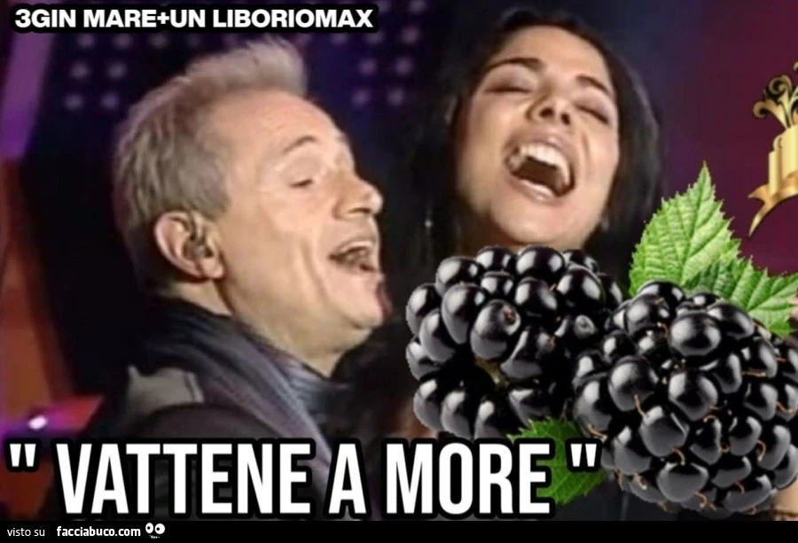 Vaccata