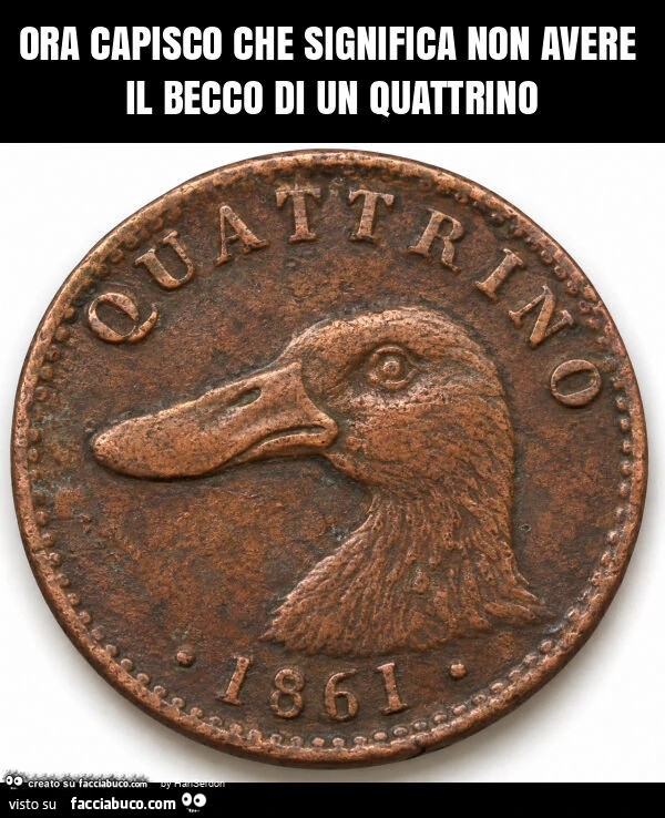 Ora capisco che significa non avere il becco di un quattrino