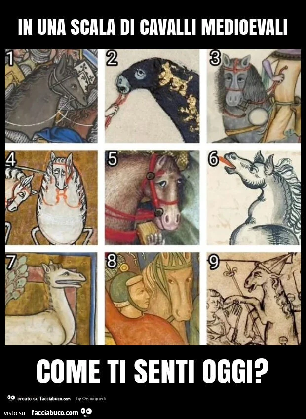 In una scala di cavalli medioevali come ti senti oggi?