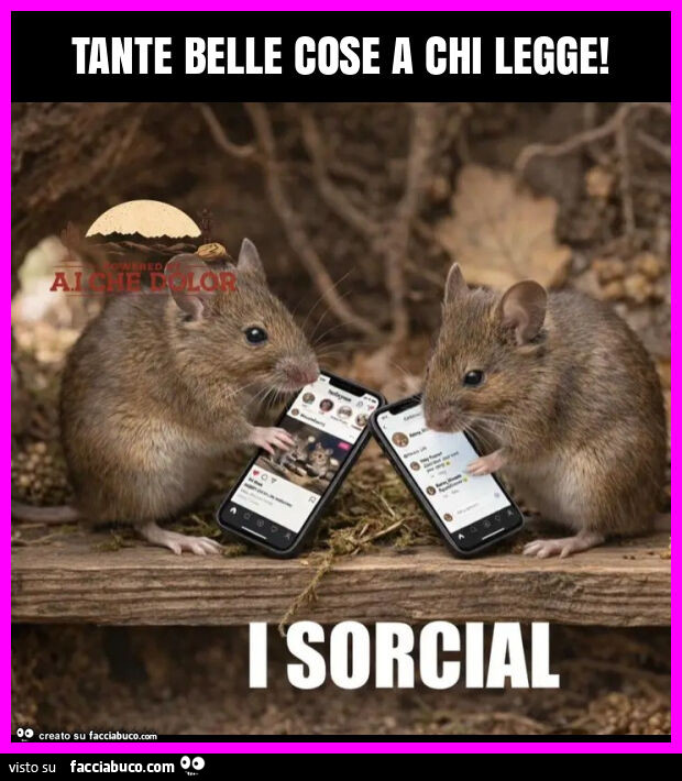 Tante belle cose a chi legge