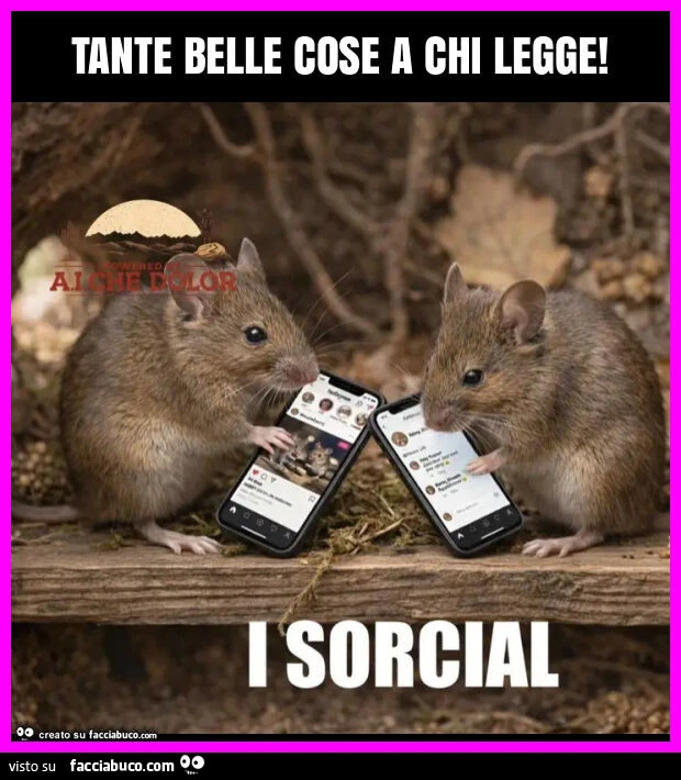 Tante belle cose a chi legge