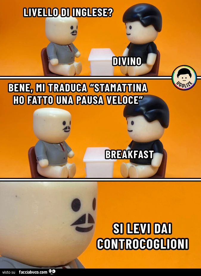 Vaccata