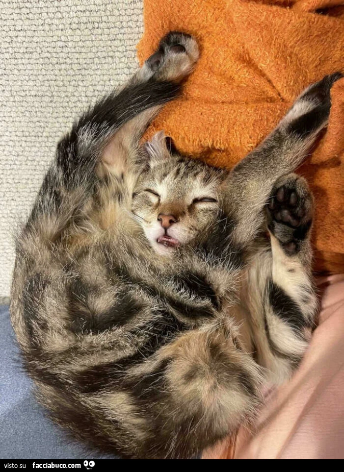Quando ti addormenti facendo yoga