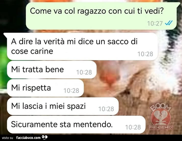 Vaccata
