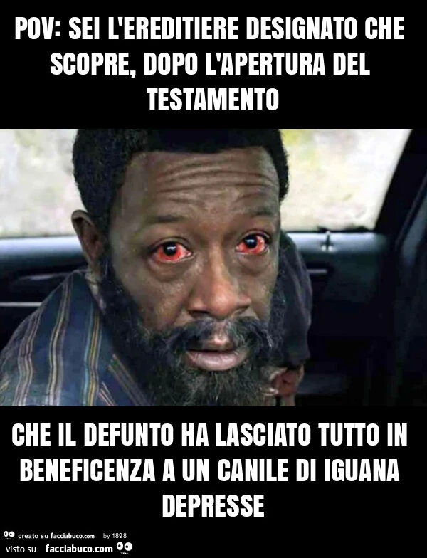Pov: sei l'ereditiere designato che scopre, dopo l'apertura del testamento che il defunto ha lasciato tutto in beneficenza a un canile di iguana depresse
