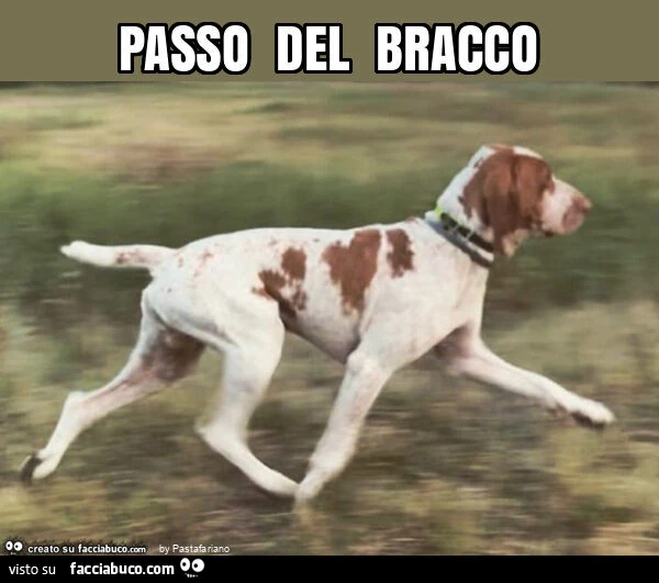 Passo del bracco